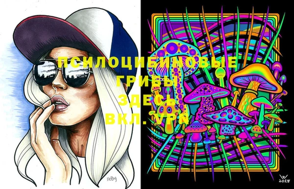 марки lsd Инта