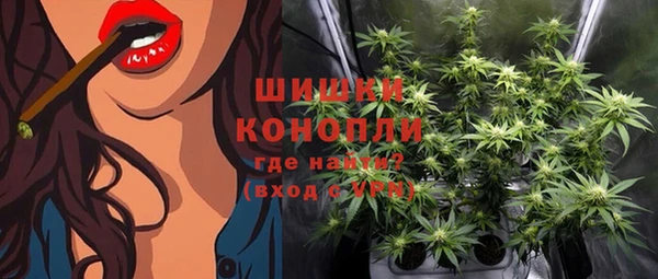 гашик Иннополис