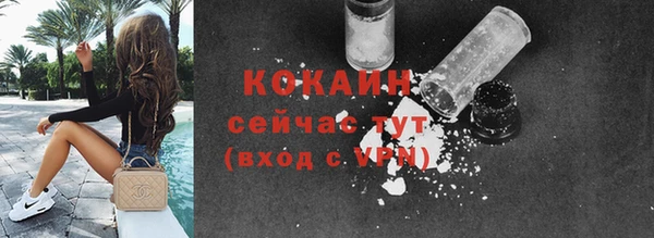 эйфоретик Каменка
